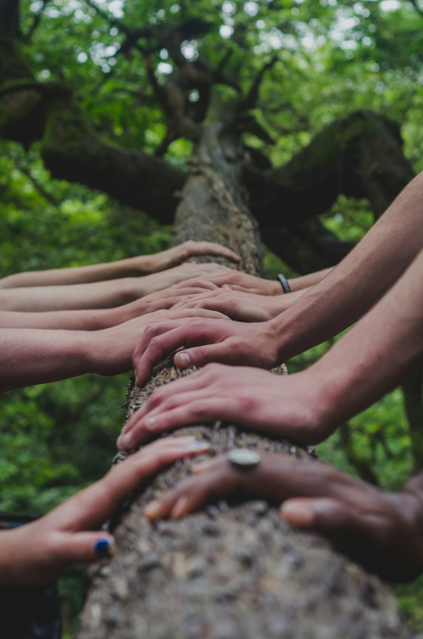 How Miladi is Transforming Lives Daily